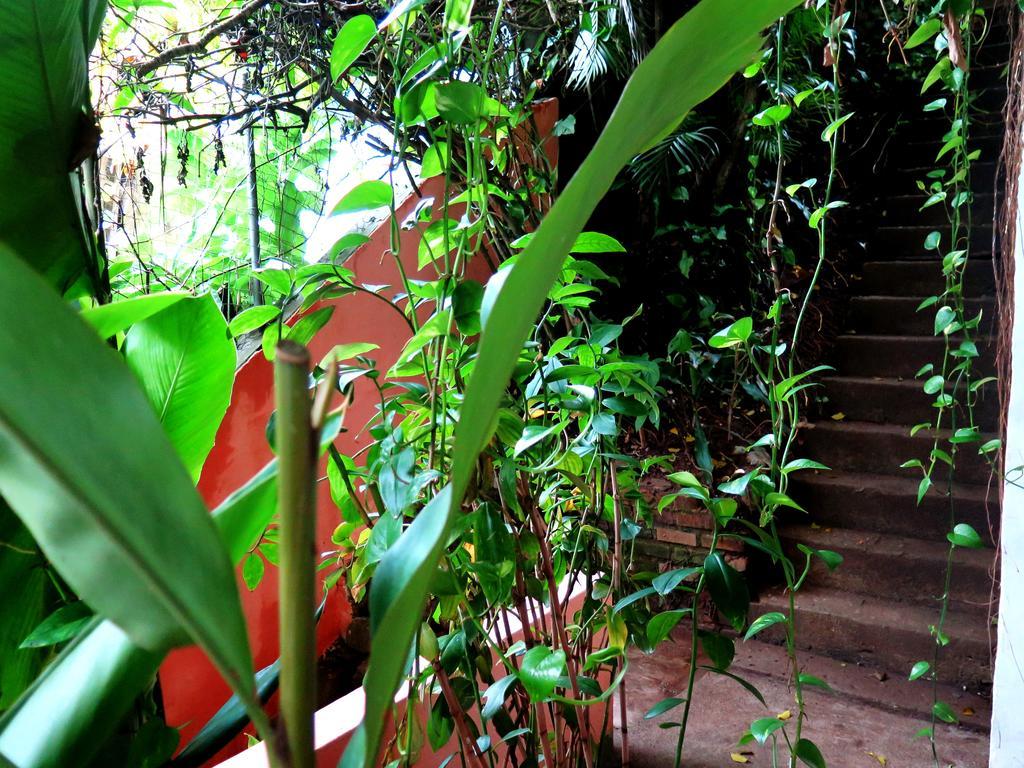 Para Ti Guesthouse Rio de Janeiro Kültér fotó
